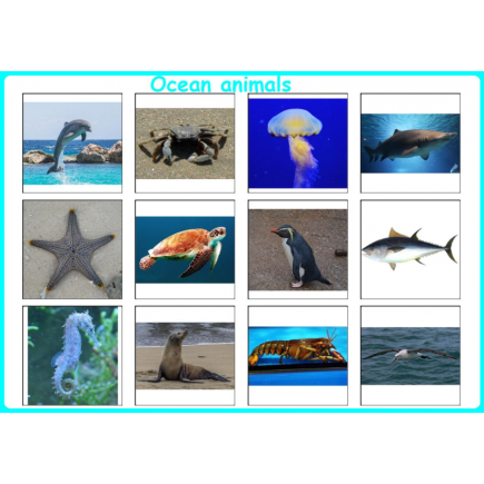 Ocean Animals Matching Activity